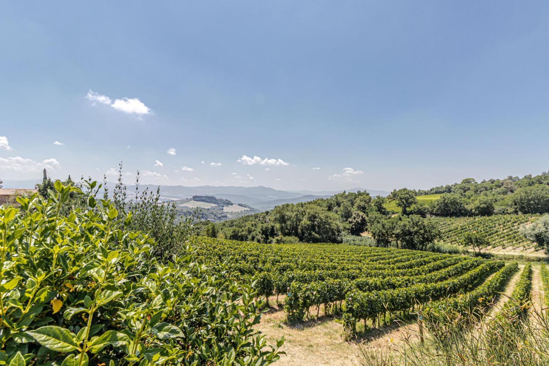 Chateau La Siroque Montecatini Val di Cecina Extérieur photo